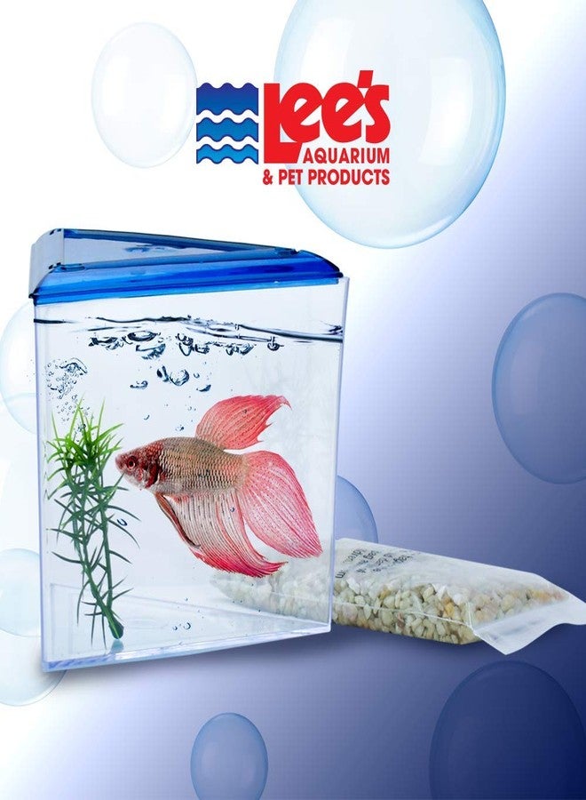لييز مربي أسماك بيتا في مثلث لي - Image 3
