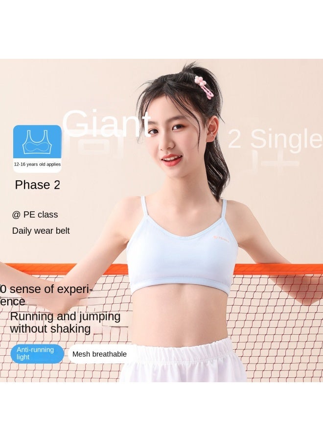 Fenton 100% Cotton Cup [stages 2-3] Growth Period 12-16 Years Wireless Spring/summer Teen Girls Bra - Image 4
