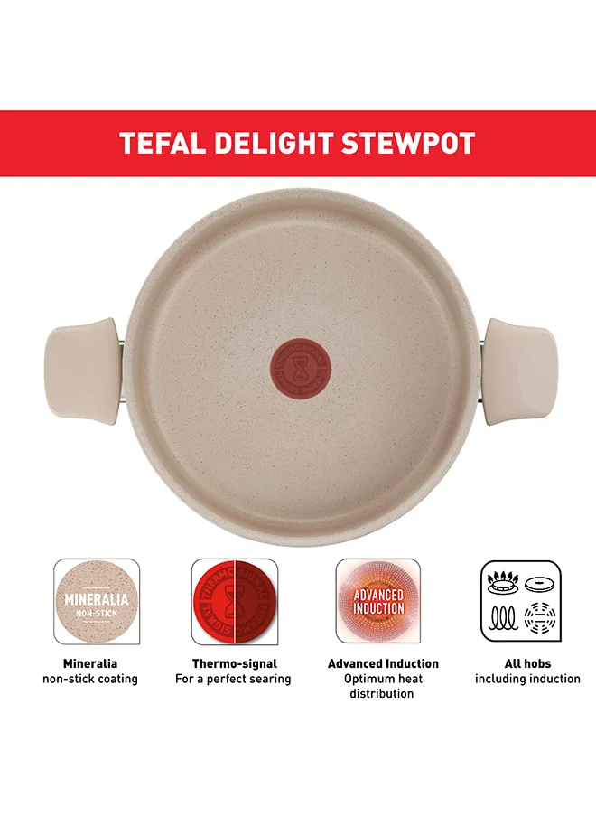 تيفال TEFAL Delight | Stewpot 24 cm | Non-Stick Coating | Heat Indicator | 100% Recycled Aluminum Body | Made in France | 2 Years Warranty | G2934602