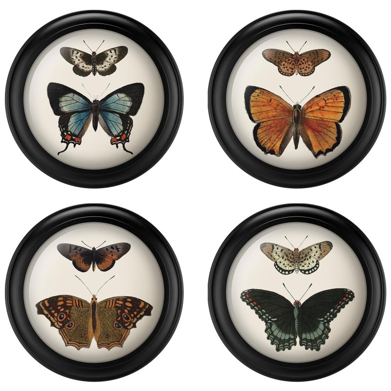 Beeveer 4 Pcs 7 Inch Vintage Round Wood Framed Butterfly Wall Art Insect Illustration Prints Picture Butterfly Art Wooden Wall Hanging Picture Frames for Living Room Bedroom Home Decor - Image 2
