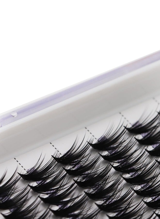 Bodermincer 240pcs D Curl 40D Cluster Eyelashes 10-12mm Mixed/12-14mm Mixed/14-16mm Mixed/16-18mm Mixed DIY Eyelash Extension (40D 10-12mm Mixed) - Image 5
