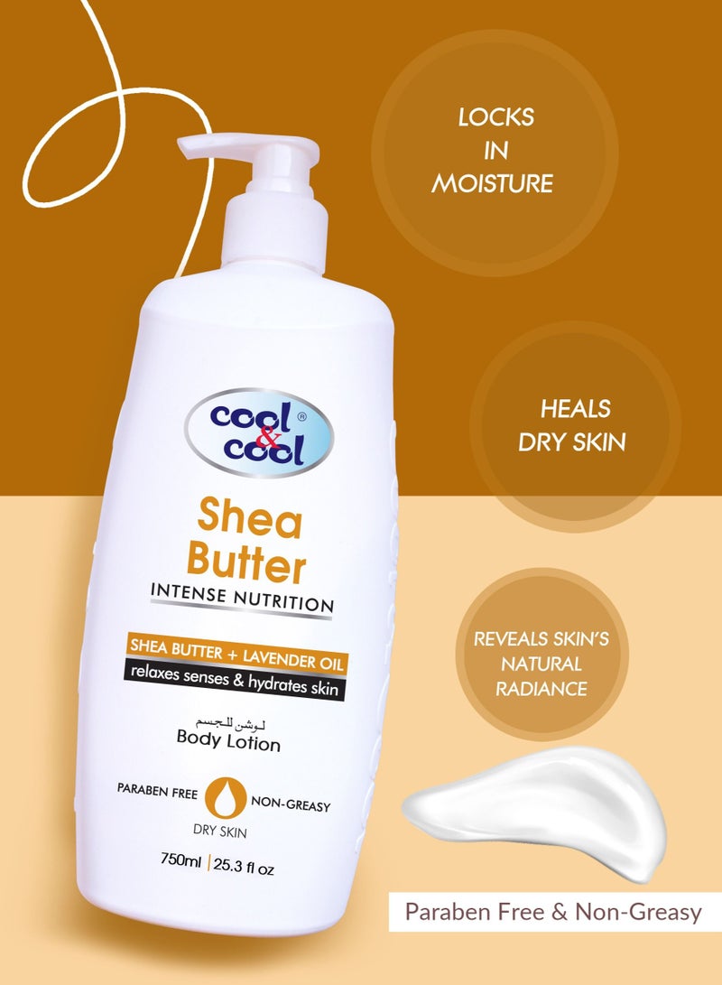 كول اند كول لوشن زبدة الشيا كول آند كول 750 مل - تركيبة مغذية مع زيت اللافندر، غير دهني وخالي من البارابين، يرطب ويلطف البشرة الجافة - Image 2
