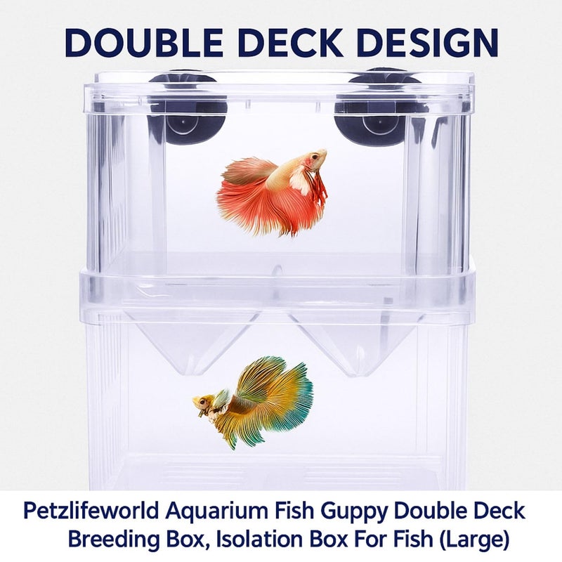 VAYINATO Aquarium Guppy Double Deck Breeding Box with Suction Cups – Large 13x10x7cm | Transparent Isolation & Breeding Tank for Fish, Fry & Betta | Sturdy, Safe & Easy to Use - Image 2