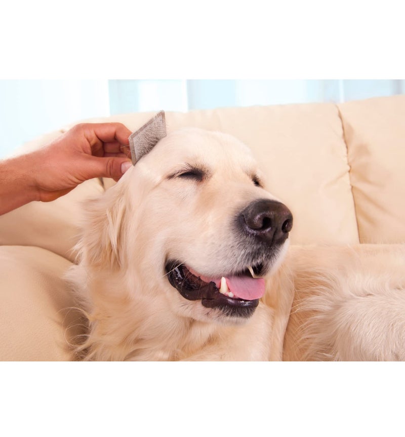 Trixie Slicker Brush with Brush Cleaner - Gentle Detangling, Removes Loose Hair, Wooden Handle - Ideal for Dogs & Cats - 13 x 9 cm (Multicolor, Get Any 1 Color) - Image 5