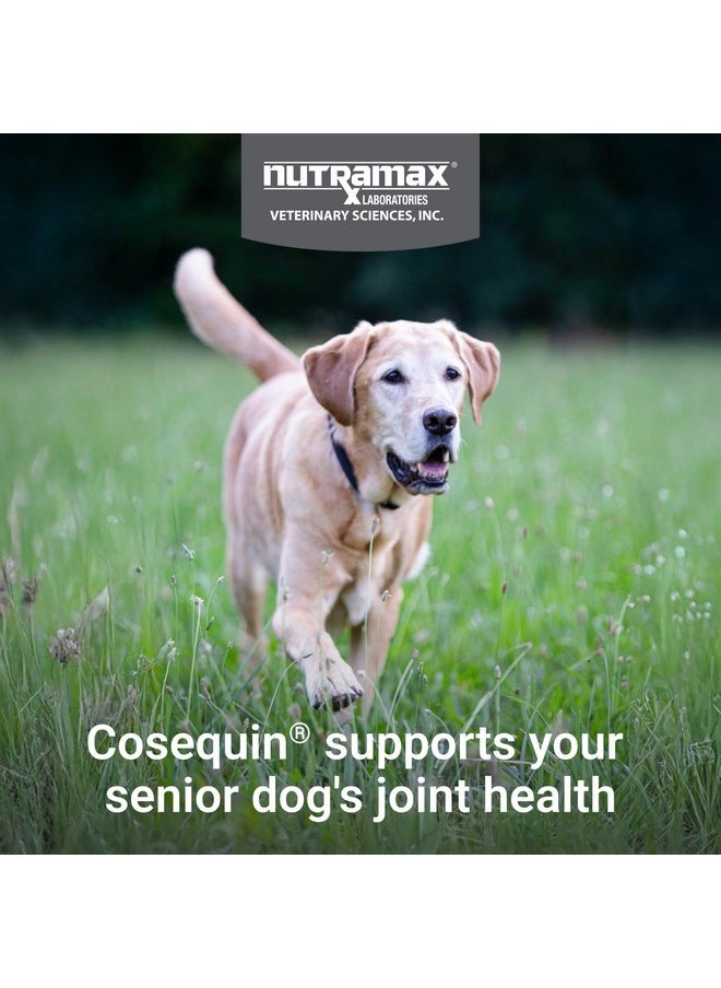 Nutramax Laboratories Cosequin Senior Joint Health Supplement for Senior Dogs - With Glucosamine, Chondroitin, Omega-3 for Skin and Coat Health and Beta Glucans for Immune Support, 60 Soft Chews  - Image 3