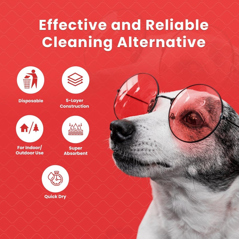 PupPee Pet Training Pads, Super Absorbent, Water Proof, Non Slippery, 60X45cm, Medium, 10 Count - Image 3