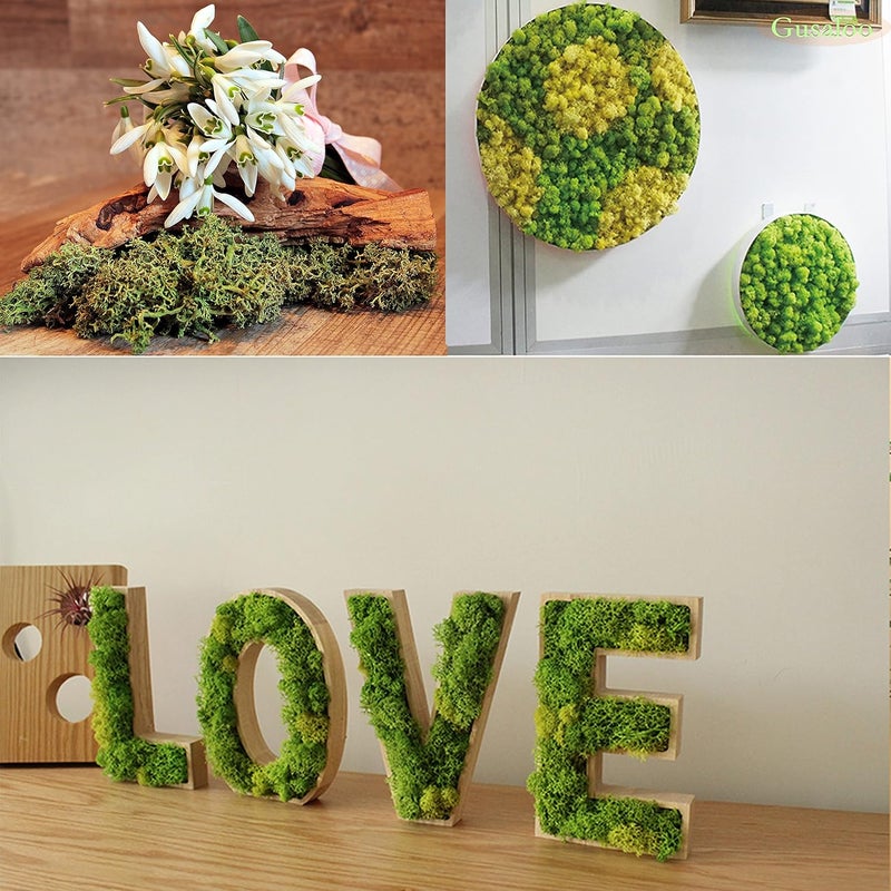 Gusaloo Preserved Moss 5oz Artificial Natural Fresh Green Moss for Craft Handicraft Arts Floral Project Wall Decor Table Decor Wedding Centerpieces Garden Terrariums Decoration-Pink - Image 5