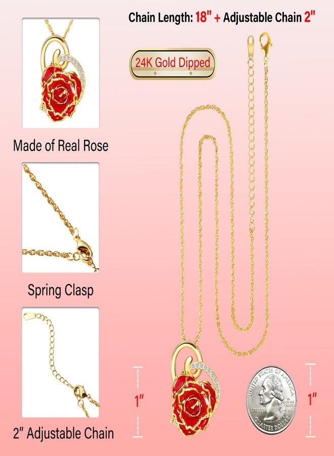 AliveRose Rose Pendant Necklaces Gifts for Women, 24K Gold Dipped Real Rose Dangle Necklace Jewelry - Ideal Gift for Her Wife Mom Anniversaries, Valentines, Birthday (Heart Red), Gold Plated, No - Image 3