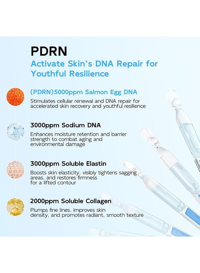 ك أو إي سي سيروم مكافحة الشيخوخة PDRN، أمبول بيض السلمون DNA بتركيز 5000 جزء في المليون، كولاجين بتركيز 2000 جزء في المليون، جلوتايثيون، نياكيناميد و6 أحماض هيالورونيك، العناية بالبشرة الكورية DNA السلمون للتجاعيد والإشراقة، 1.5مل*30 قطعة - Image 3