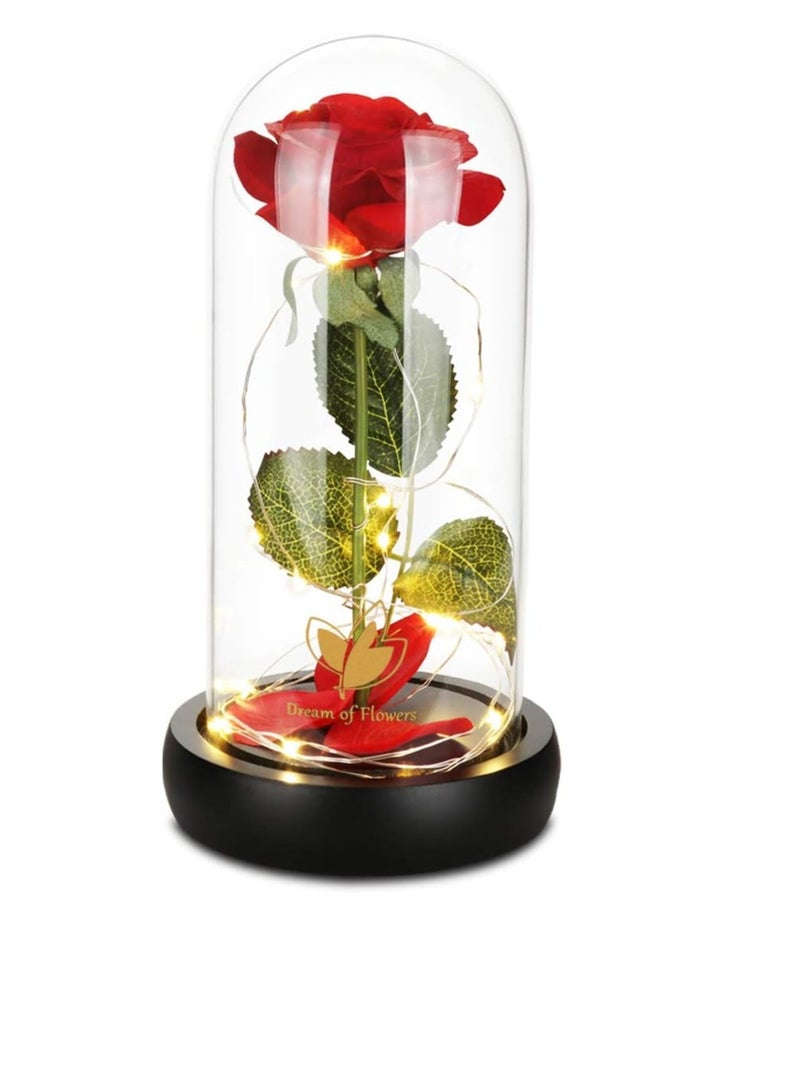 Dream of Flowers Mother's Day Womens Gifts Preserved Rose Beauty and the Beast Gifts for Mom/Women/Girlfriend/Wife/Her/Best Friend/Girlfriend/Valentines Day/Birthday/Anniversary/Wedding - Image 1