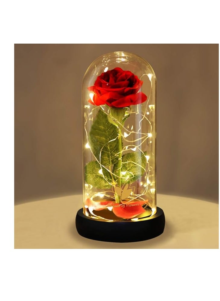 Dream of Flowers Mother's Day Womens Gifts Preserved Rose Beauty and the Beast Gifts for Mom/Women/Girlfriend/Wife/Her/Best Friend/Girlfriend/Valentines Day/Birthday/Anniversary/Wedding - Image 3