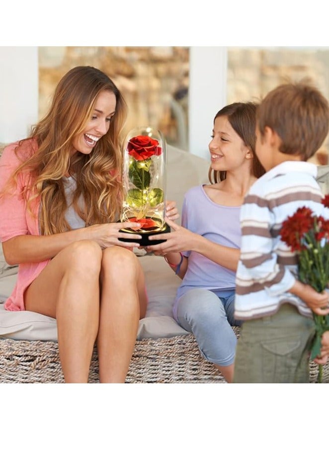 Dream of Flowers Mother's Day Womens Gifts Preserved Rose Beauty and the Beast Gifts for Mom/Women/Girlfriend/Wife/Her/Best Friend/Girlfriend/Valentines Day/Birthday/Anniversary/Wedding - Image 4