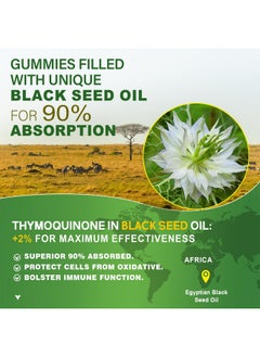 NEVISS NEVISS Black Seed Oil Gummies, Chlorophyll & Sea Moss Supplement 500mg, Biotin 500mcg with Hydrolyzed Collagen for Skin, Hair & Nails Health, Digestion, Joint, Organic Cold Pressed - High Absorption  - Image 3