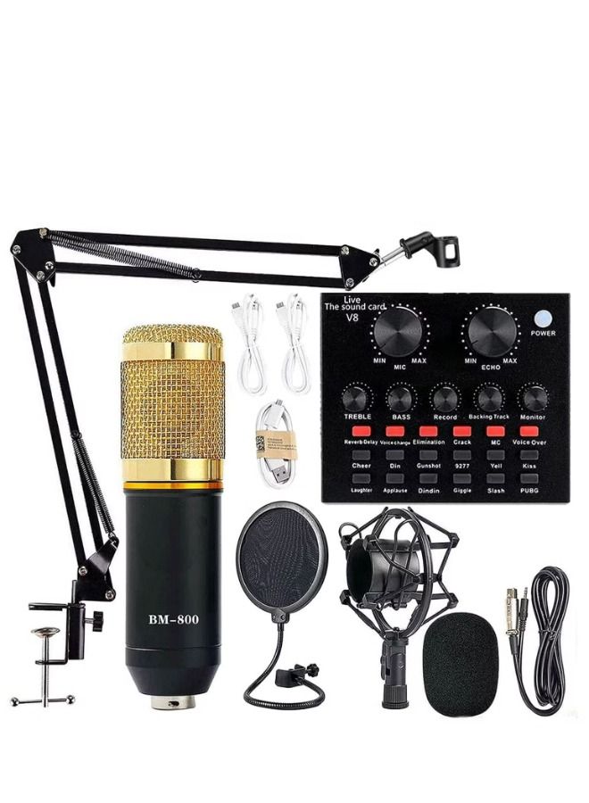 Condenser Microphone Bundle Mic Kit with Live Sound Card, Adjustable Mic Suspension Scissor Arm - Image 1