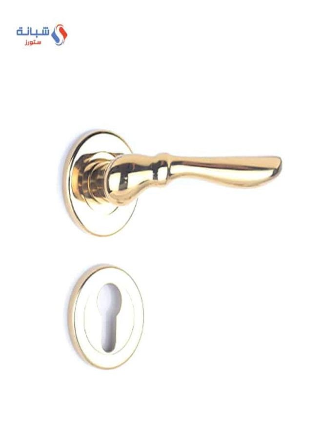 AHRAM Rosette Door handle Set Sicuro  FIOCCA – Gold – FH3351R01CG101  - Image 1
