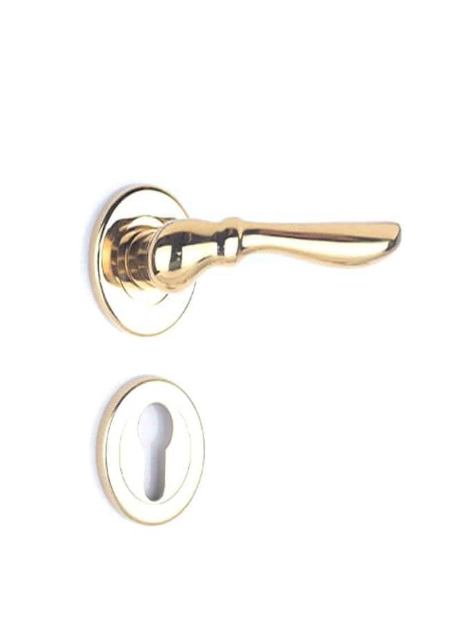 AHRAM Rosette Door handle Set Sicuro  FIOCCA – Gold – FH3351R01CG101  - Image 2