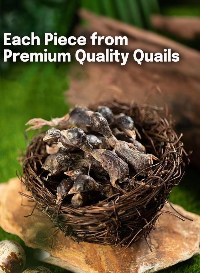 BNYEE 7 OZ Freeze Dried Little Quail Treats for Dogs Cats, High Protein Raw Dog Food, Single Fresh Ingredient Treats, Rawhide Free - Image 2