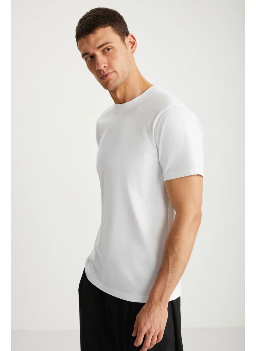 جريميلانج MICHEL Men's Slim Fit Slim Cut 100% Organic Cotton Basic Knitted White T-Shirt