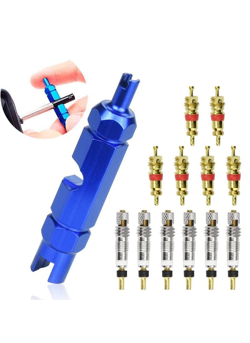 SYOSI SYOSI 13Pcs Valve Core Remover Tool Kit Bike and Car Valve Core Repair Tool with Brass Replacement Presta and Schrader Valve Core Bike Bicycle Core Repair Tool For Universal Road Bike Car  - Image 1