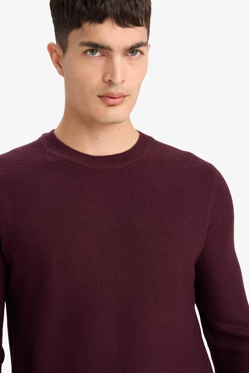 Defacto  Standard Fit Crew Neck Knitwear Pullover for Men | Best Price UAE