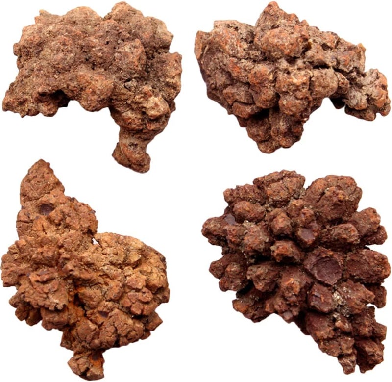 klarako 4pcs Dinosaur Coprolite Feces Trace Fossil Fossilized Dinosaur Dung Poop Coprolite Micro Landscape Ornaments Tabletop Decoration - Image 1