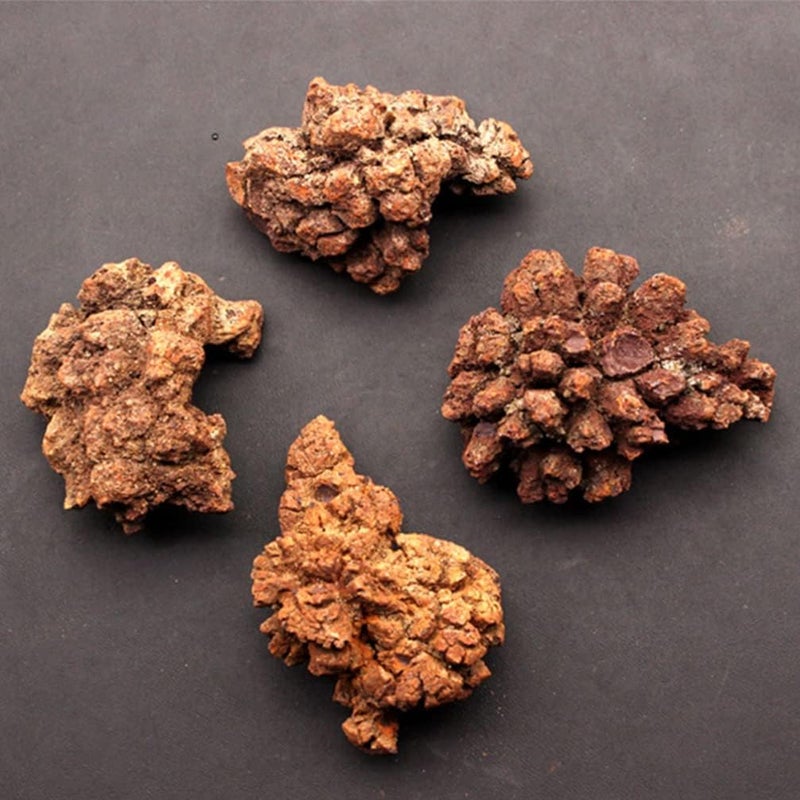 klarako 4pcs Dinosaur Coprolite Feces Trace Fossil Fossilized Dinosaur Dung Poop Coprolite Micro Landscape Ornaments Tabletop Decoration - Image 2