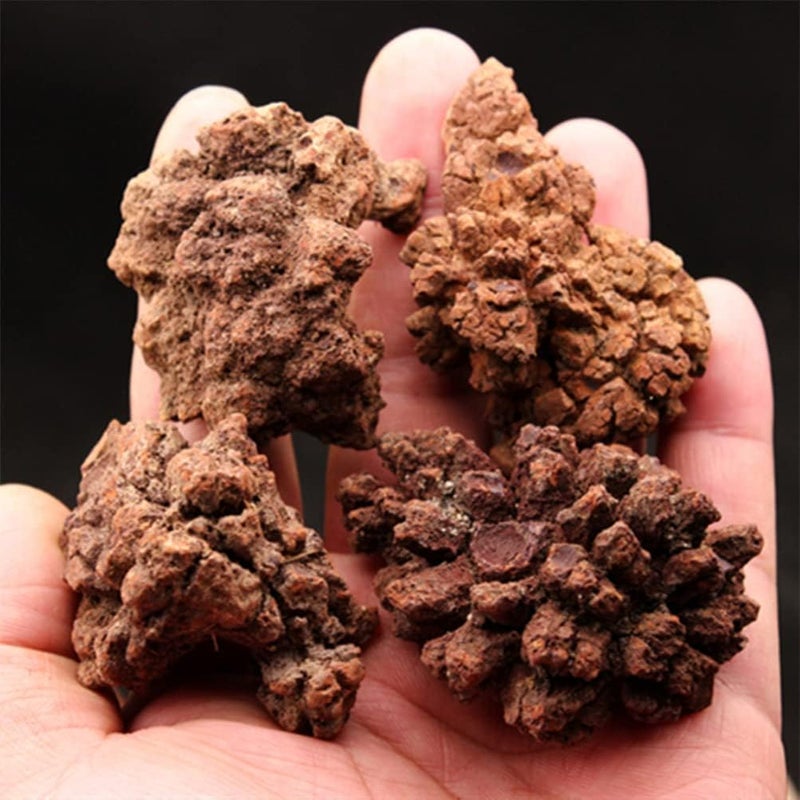 klarako 4pcs Dinosaur Coprolite Feces Trace Fossil Fossilized Dinosaur Dung Poop Coprolite Micro Landscape Ornaments Tabletop Decoration - Image 3