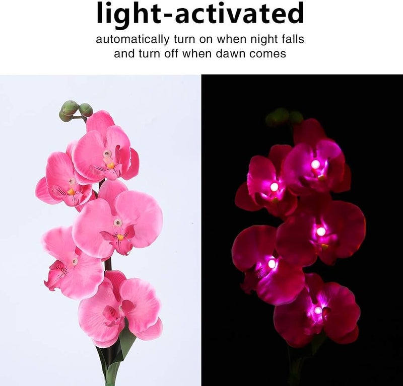 klarako Garden Solar Lights Waterproof Moth Orchid Shape Solar Garden Lights Light-Activated LED Pathway Light for Lawn Garden Courtyard - Image 1