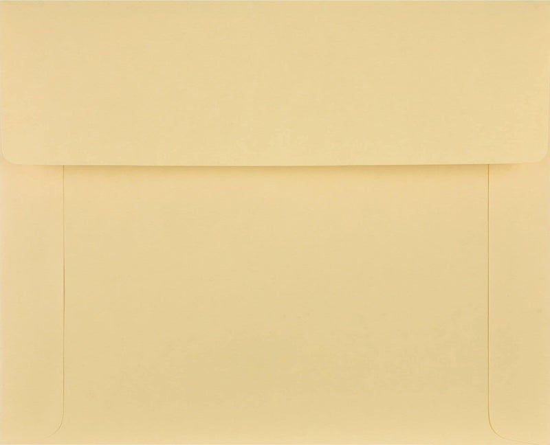 Quality Park Filing Envelopes, Ungummed, Cameo Buff, 9.5 x 11.75 (QUA89604), Letter, 100 per Box - Image 2