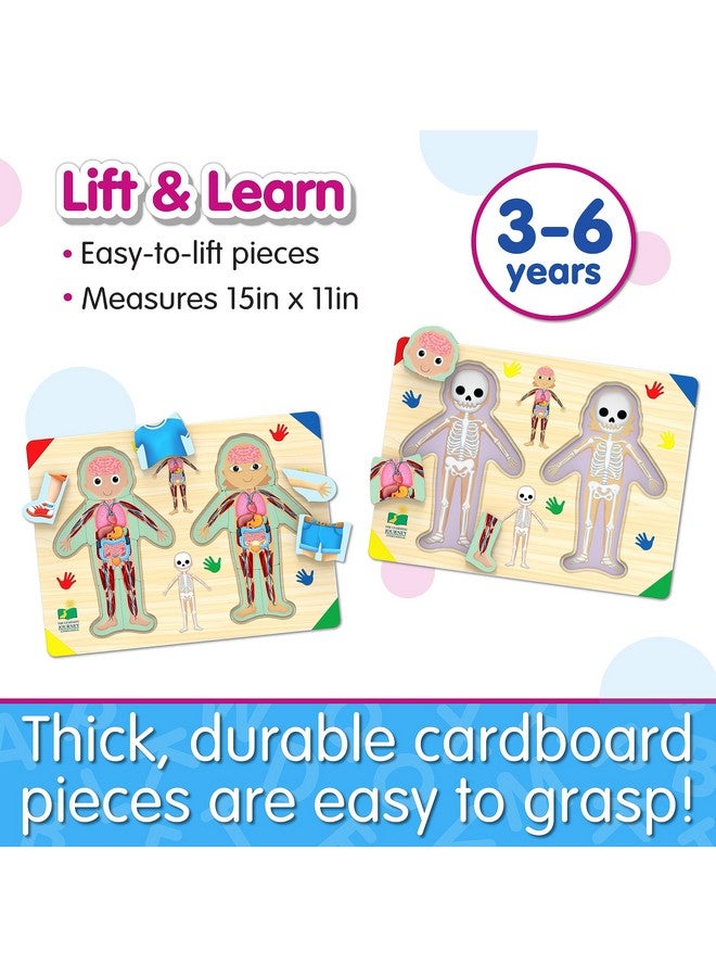 THE LEARNING JOURNEY : Lift & Learn Inside Of Me - Human Body Layered 28 Piece Jigsaw Puzzles- Montessori School - Learning Educational Toy For Baby - Kids Ages 3 And Up Non-Toxic & Bpa Free - Image 2