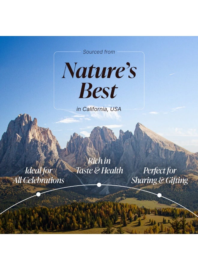 Rostaa Salted Nibbles 170g – Crunchy Roasted Salted Nuts, Protein-Rich Snack - Image 5