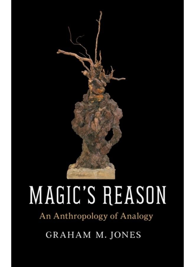 Magic's Reason : An Anthropology of Analogy 