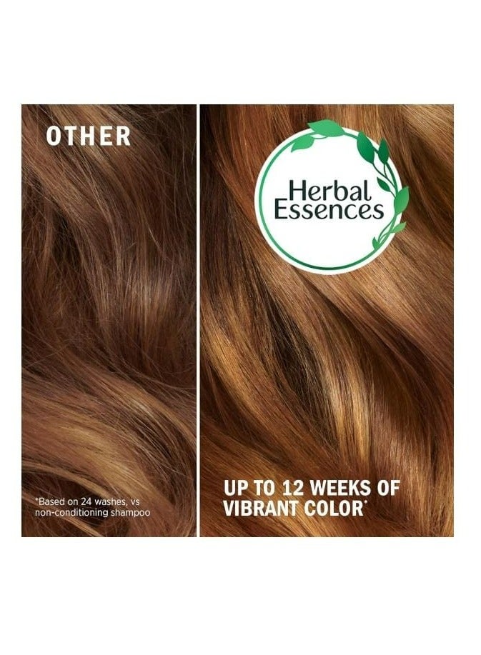 هربل إيسنسز هيربل اسينسيز شامبو وبلسم خالٍ من الكبريتات، مع بذور العنب الغنية بمضادات الأكسدة النقية المعتمدة، 400 مل + 400 مل - Image 4