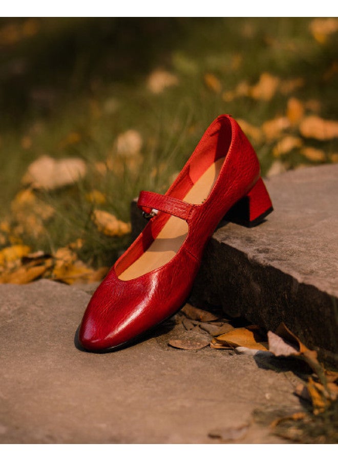 AME Ancient Grain Washed Horsehide Premium Minimalist Mary Jane Shoes 2025 One-strap Versatile Mid-heel Pumps For Women - Image 1