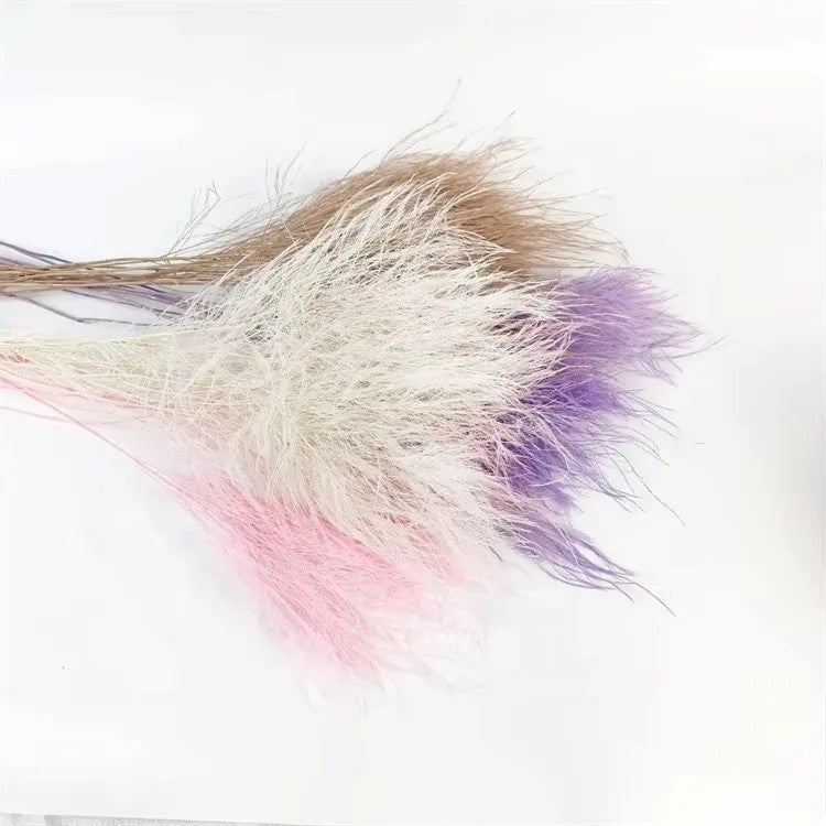 Bluejw Natural Dried Flowers Bouquet - Preserved Plants & Grass for DIY Wedding Christmas Easter New Year Home Decoration - Hot Sale Floral Arrangement Supplies - Image 4