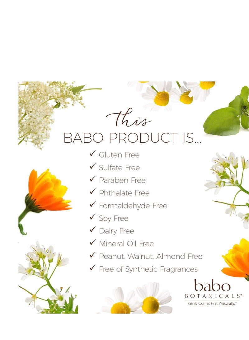 Babo Botanicals Smoothing Berry 2-in-1 Shampoo & Wash - Detangling & Nourishing - Eliminates Frizz & Prevents Static - Evening Primrose Oil - For all ages - Light Berry Fragrance- Vegan - Image 2