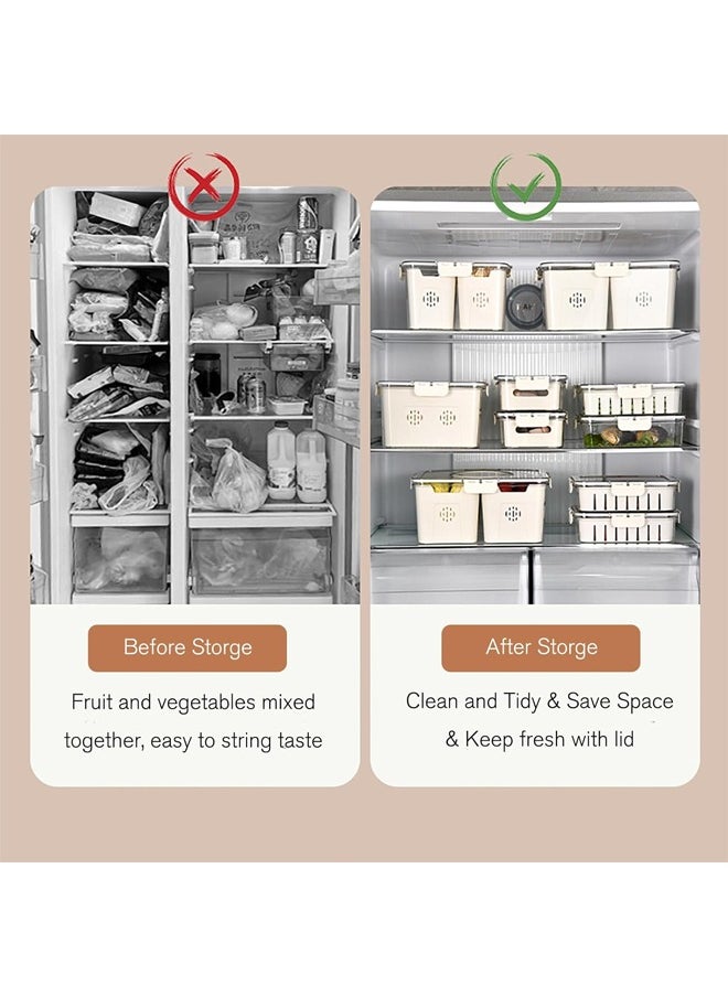 HQ-GAMING - Salad Bar Containers for Fridge, 2 Compartment Divided Serving Tray with Lid for Fridge Fruit Charcuterie Storage, Veggie Tray Drainer Container Berry Snackle Box Container, BPA-Free - Image 1