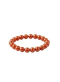 British Fossils Carnelian