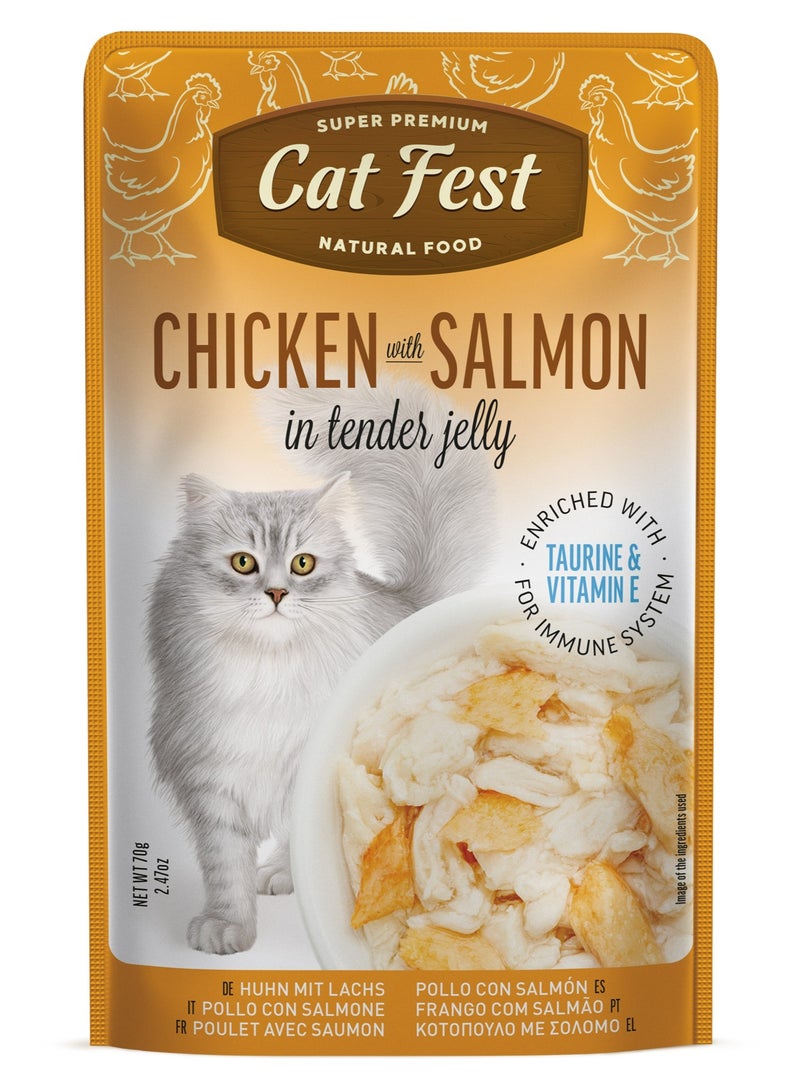 Cat Fest CatFest Chicken with Salmon in Tender Jelly, Natural Wet Cat Food, High Protein, Grain-Free, 70g Pouch  - Image 1