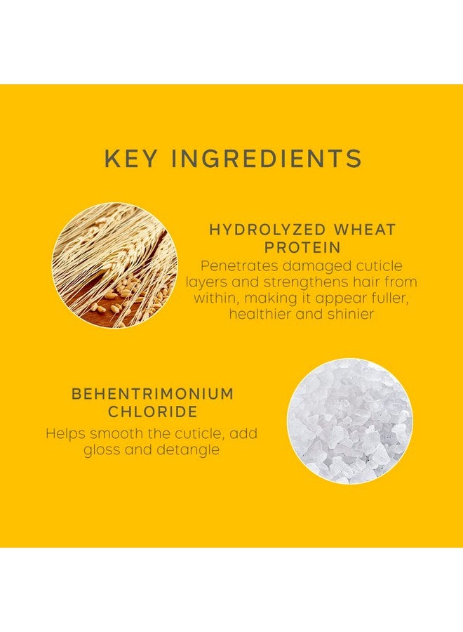 فيليب كينجزلي بلسم فيليب كينجسلي لبناء الجسم خفيف الوزن، يزيد من كثافة الشعر الخفيف والمسطح والقصير، ويرطب ويزيد من حجمه ويرفعه ويمنحه لمعانًا، 6.76 أونصة - Image 5