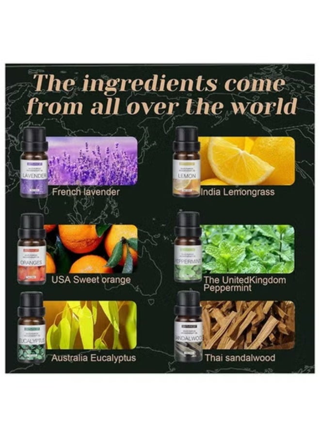 TIGER Aromatherapy Essential Oils Set – 6 x 10ml Water-Soluble Fragrance Oils for Diffusers & Humidifiers – Includes Lavender, Eucalyptus, Sandalwood, Sweet Orange, Lemon & Mint – Calming & Refreshing Scents for Home, Spa, Office & Meditation - Image 2