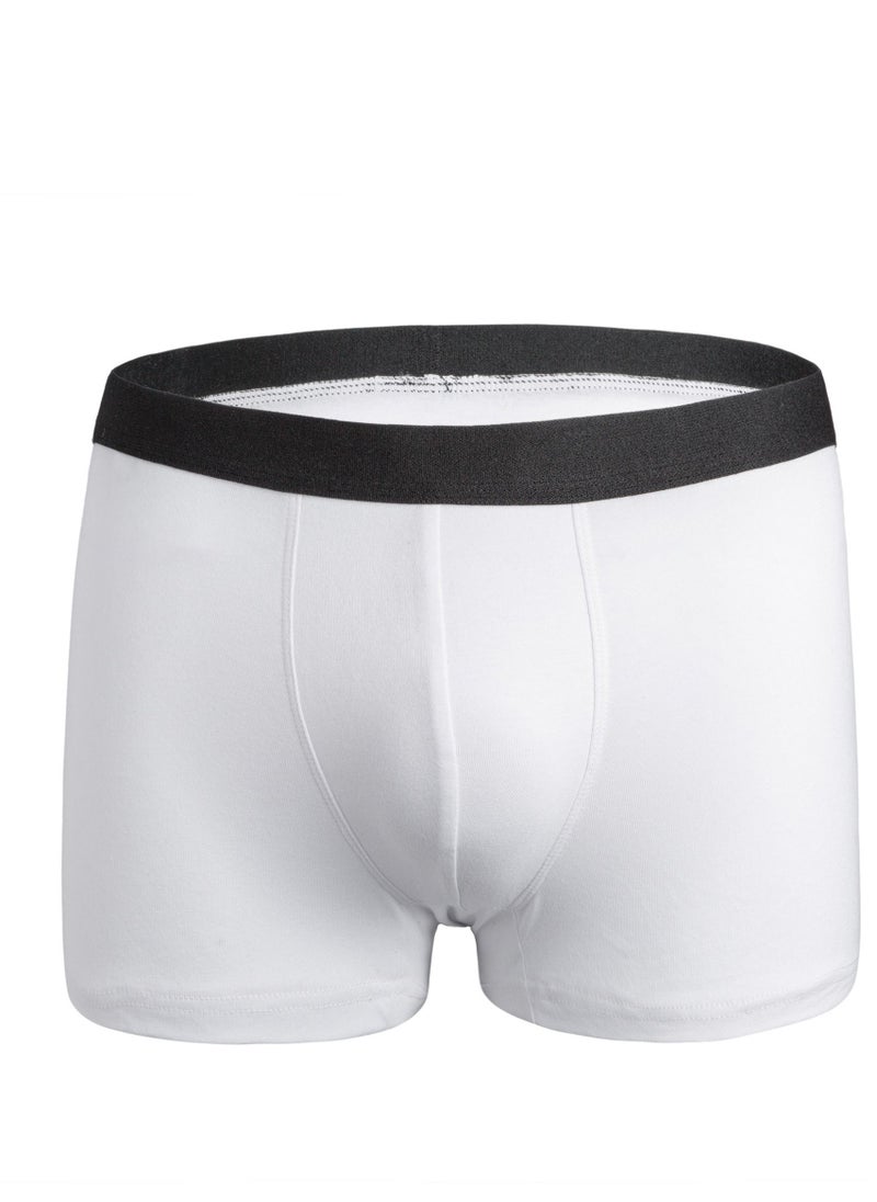 Loquat - Men Breathable Underwear Boxer Brief - Image 1