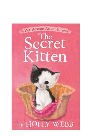 The Secret Kitten - pzsku/Z38D2F8C6EABC120BECB9Z/45/1749113605/2b87231f-7178-457d-a417-4ef2b7045eb6