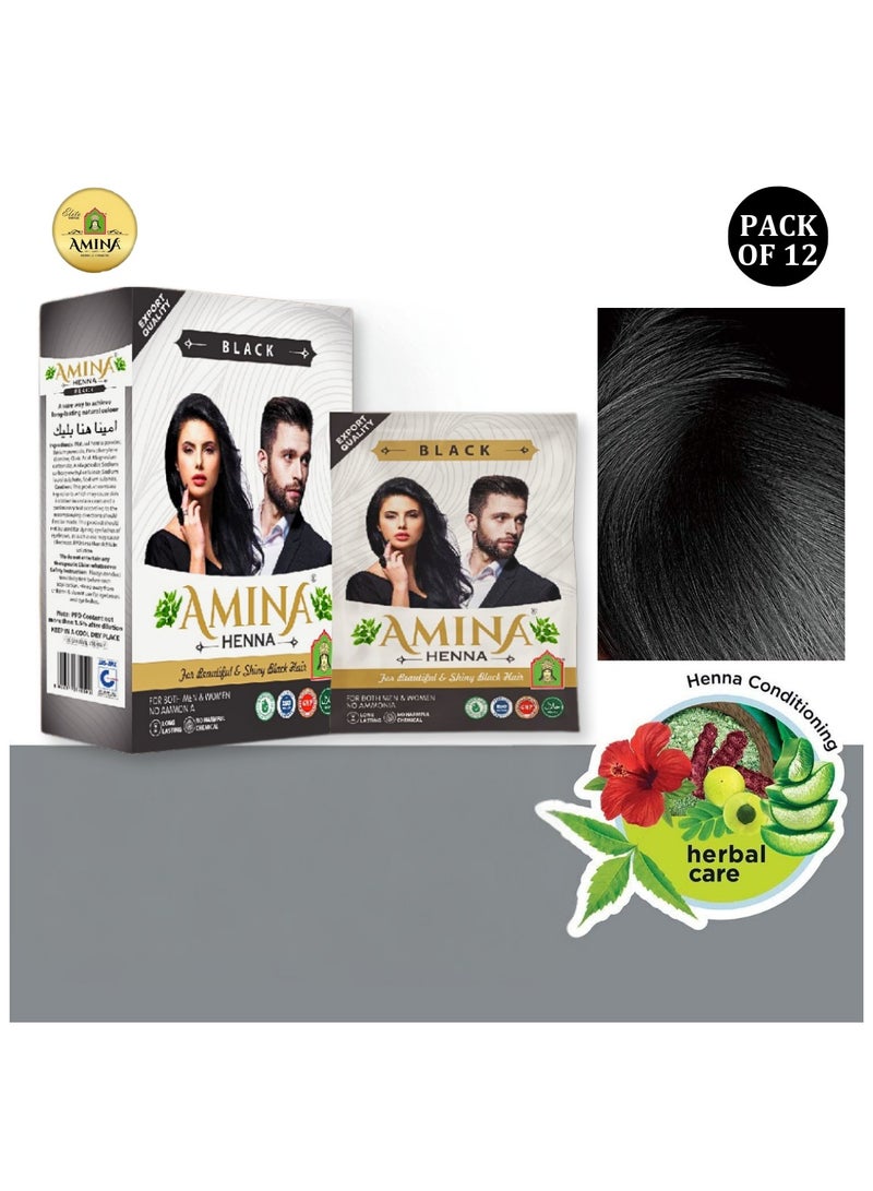 Amina Natural Black Henna Powder For Hair Color, Natural Black Hair, Herbal Conditioning Hair Dye for Silky & Shiny Soft Hair Colour for Men & Women (10 Gms x Pack Of 12) - Image 1