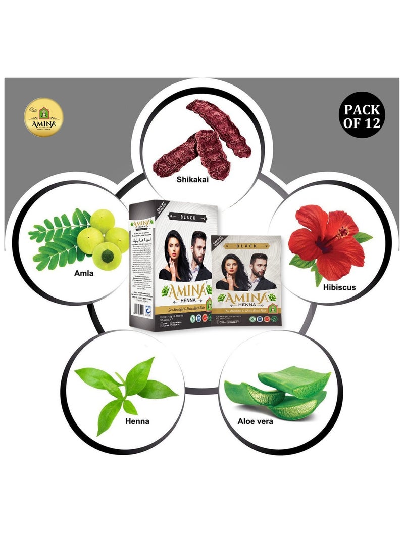 Amina Natural Black Henna Powder For Hair Color, Natural Black Hair, Herbal Conditioning Hair Dye for Silky & Shiny Soft Hair Colour for Men & Women (10 Gms x Pack Of 12) - Image 3