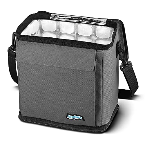 FlexiFreeze Freezable 12 Can Cooler Lunch Bag Collapsible Soft Cooler with Builtin Ice Panels 12 Can Charcoal - Image 1