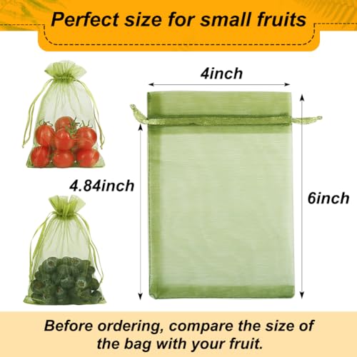Shintop 100Pcs Fruit Protection Bags, 4x6 Inch Green Strawberry Netting Cover Drawstring Mesh Bags Pest Barrier for Blueberry Small Fruit - Image 4