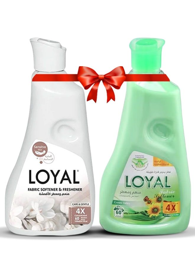 لويال منعم أقمشة جرين فالي + كير آند جنت، عبوتان × 1500 مل