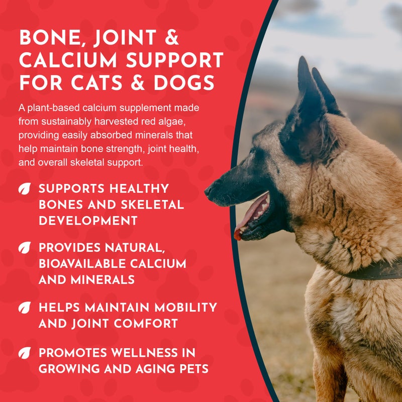 Animal Essentials Seaweed Calcium Supplement for Dogs & Cats, 12 oz (2-Pack), Iceland Seaweed Magnesium, Boron, Zinc - Image 5