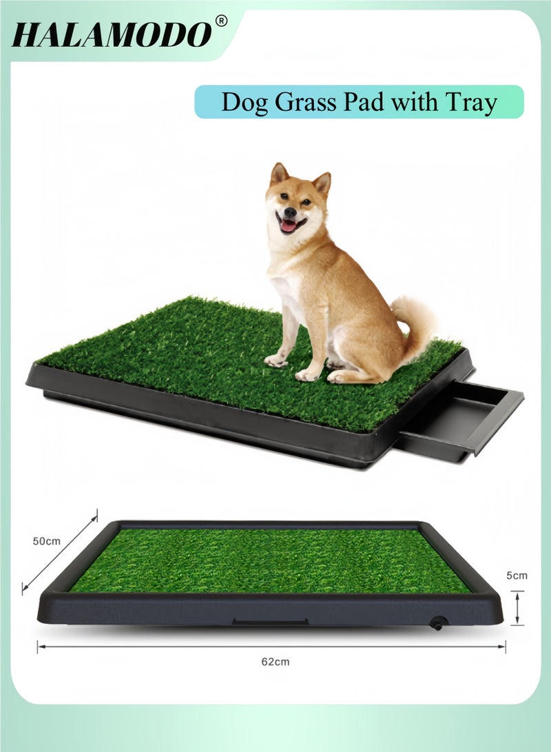 هالامودو وسادة عشب للكلاب مع صينية، 20 × 26 بوصة - نظام قضاء الحاجة للكلاب في الأماكن الخارجية والداخلية مع عشب صناعي قابل للاستبدال - قاعدة قضاء الحاجة للكلاب محمولة ومقاومة للماء - Image 1